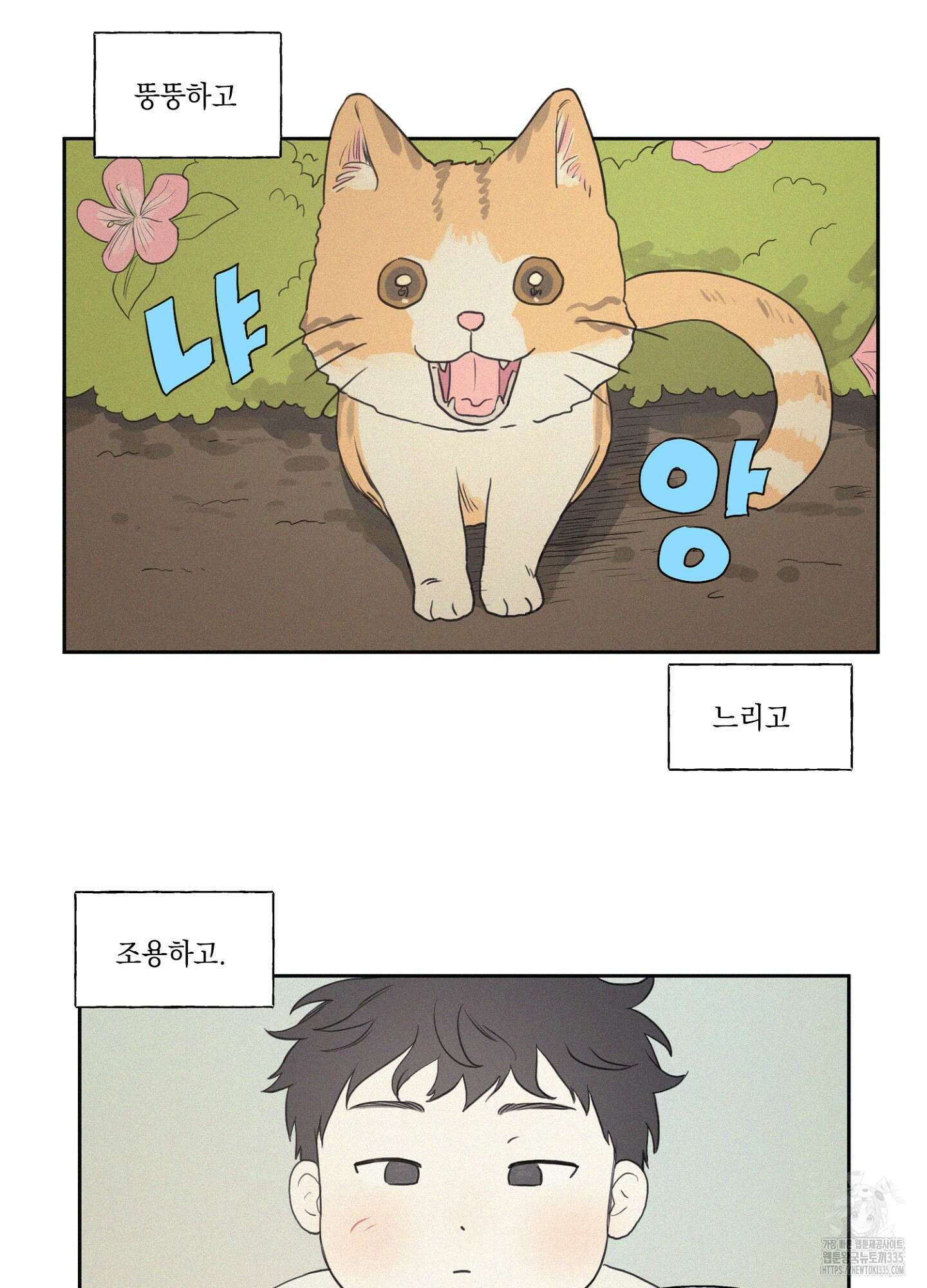 3XLOVE(쓰리엑스라지 러브) 1화 2