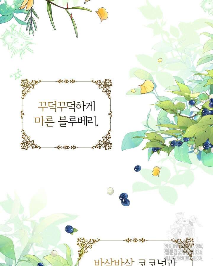 홍차 정원의 귀한 아가씨입니다 1화 3