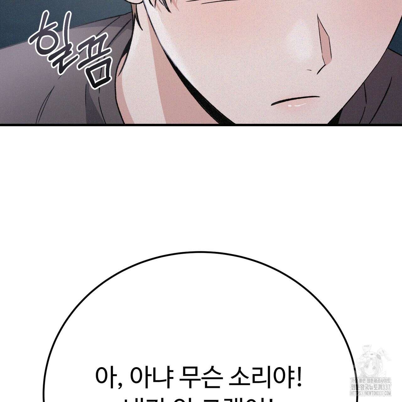폼리스 43화 17