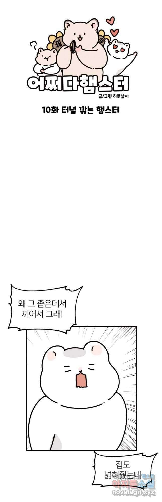 어쩌다 햄스터 10. 터널 깎는 햄스터 6