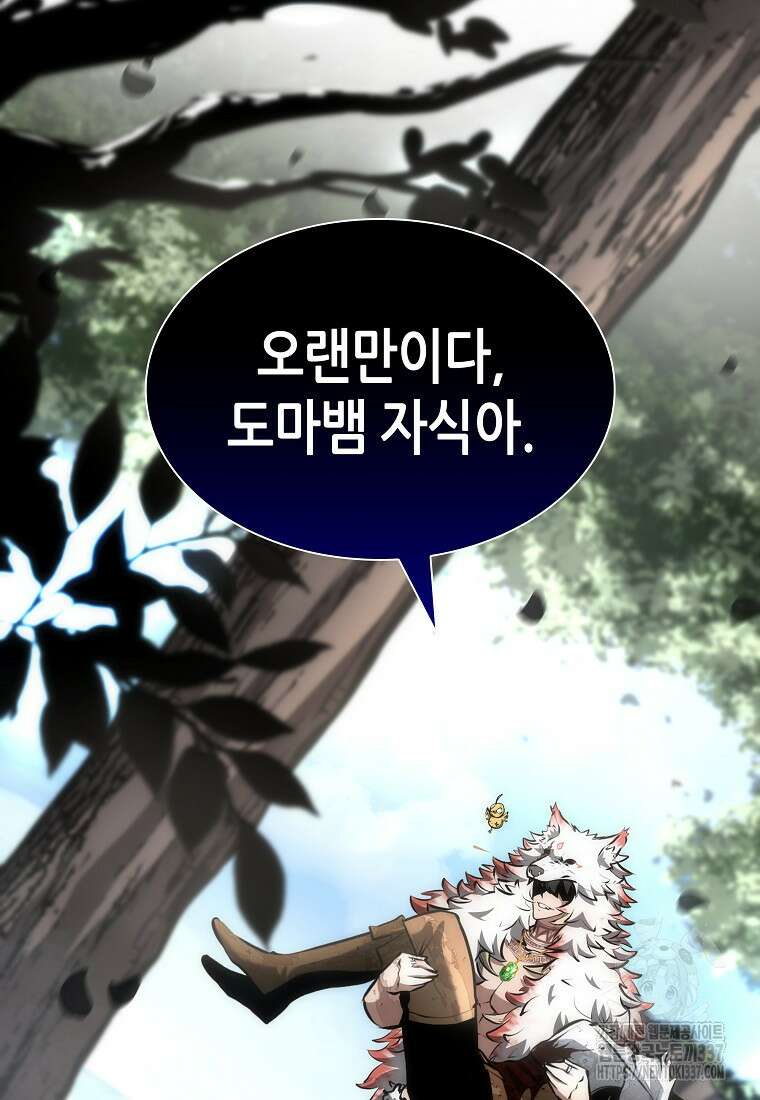 회귀했는데 FFF급 부두술사 74화 3