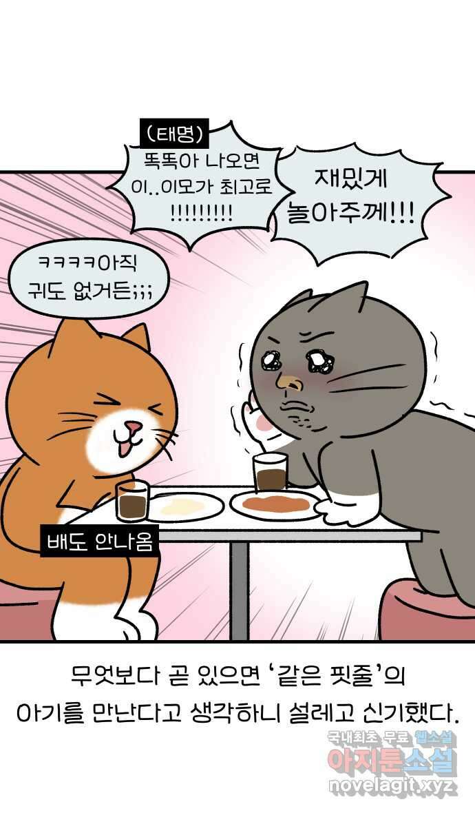 어린이집 다니는 구나 61화. 어서와 이모는 처음이지?(1) 5