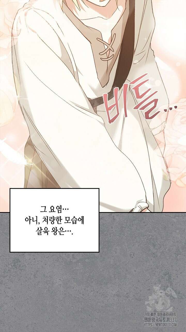 레가스 37화 25