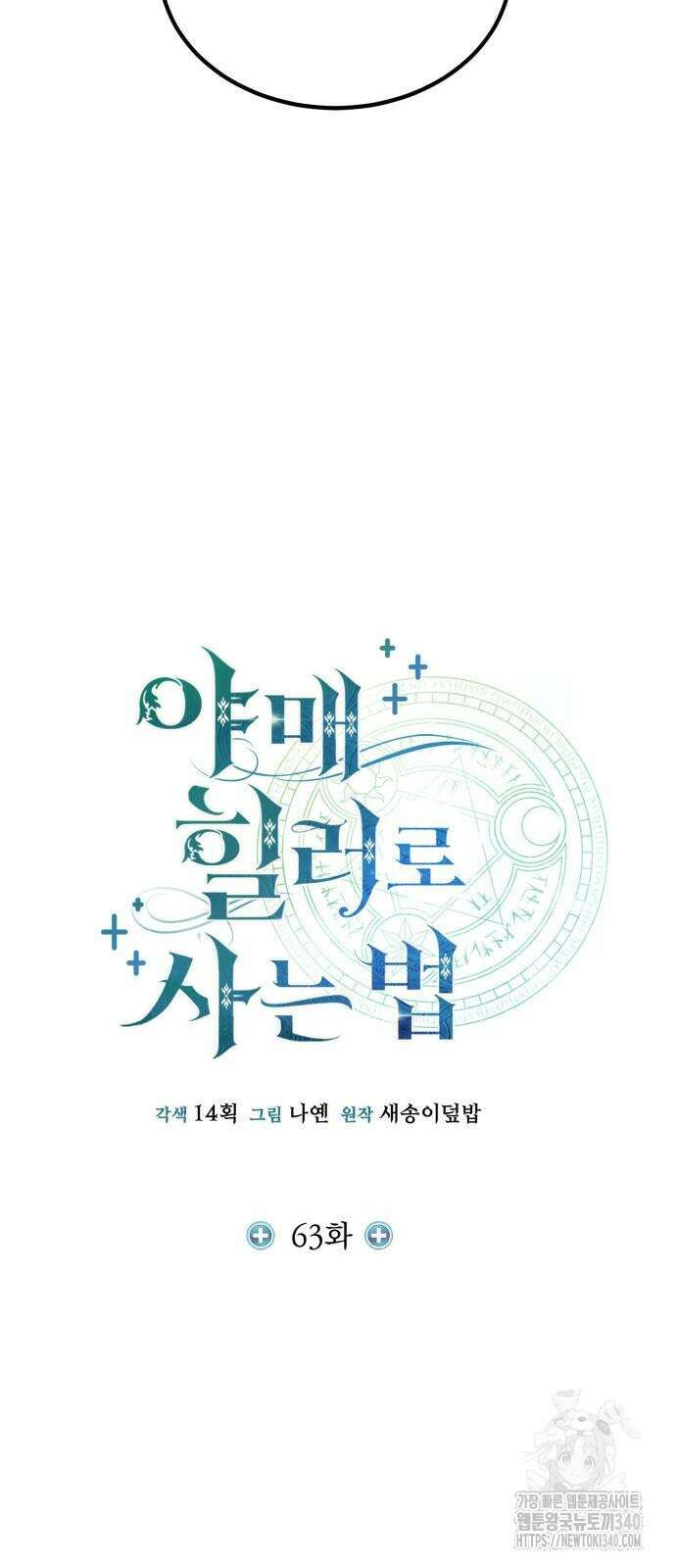야매 힐러로 사는 법 63화 25