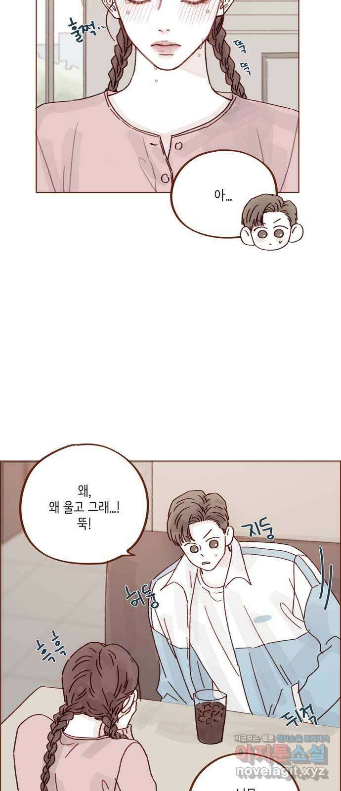 홍시는 날 좋아해! 270화 : 미안해할 건 하나도 없어 2