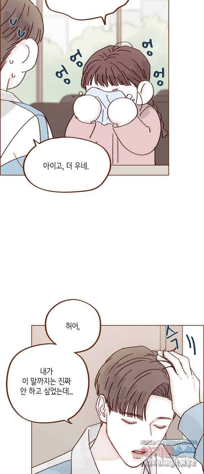 홍시는 날 좋아해! 270화 : 미안해할 건 하나도 없어 5