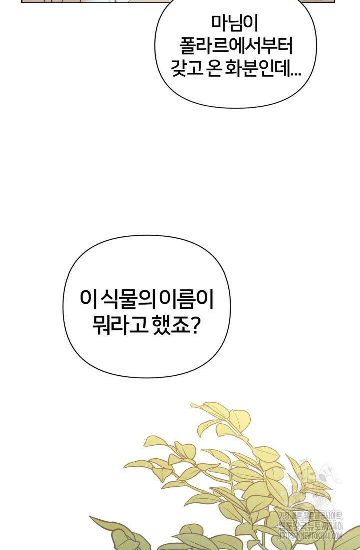 공작 부인은 하고 싶어도 2화 40