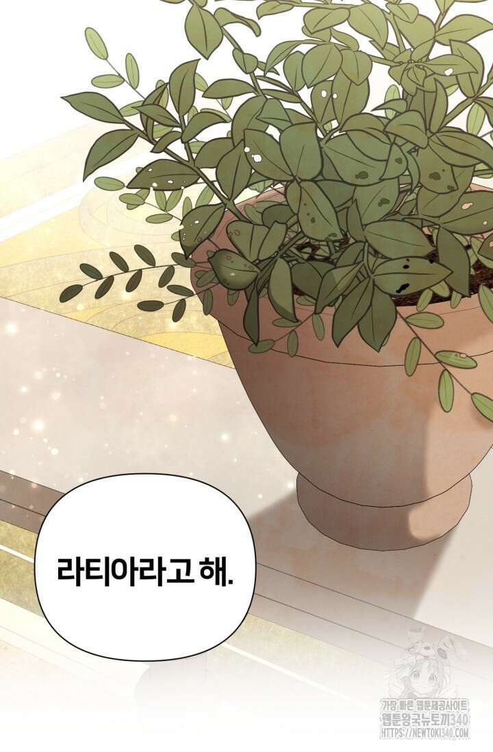 공작 부인은 하고 싶어도 2화 41