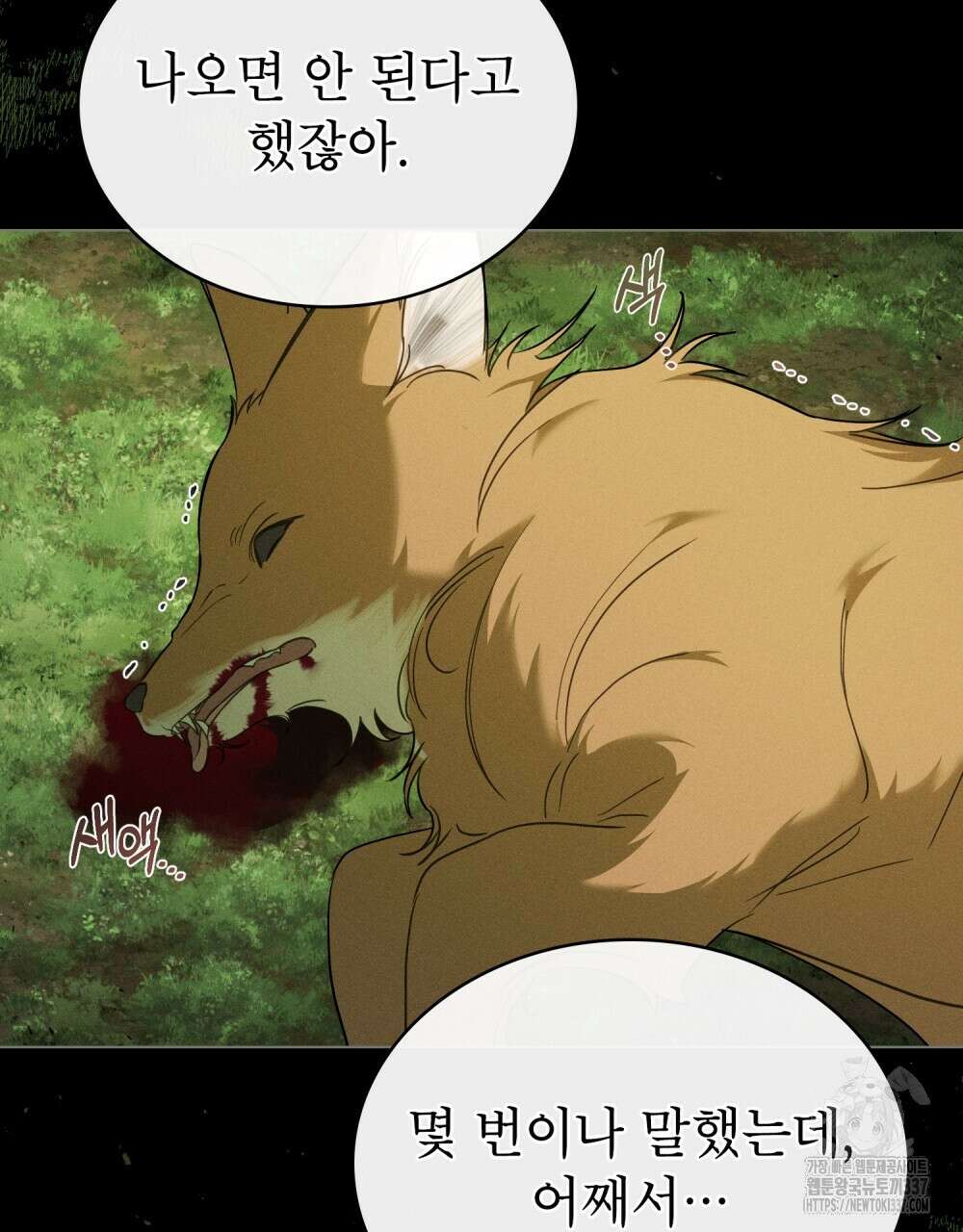 디에 멜루시네 14화 4