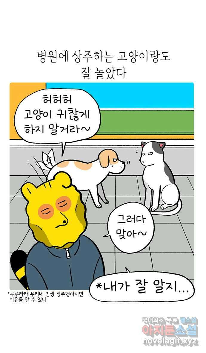 루루라라 우리네 인생 169화 멘탈 다듬기 6
