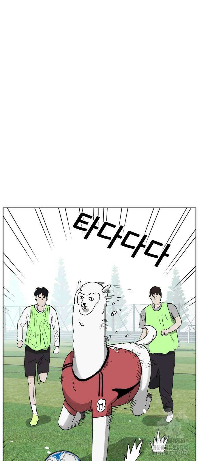 괴양이 51화 4