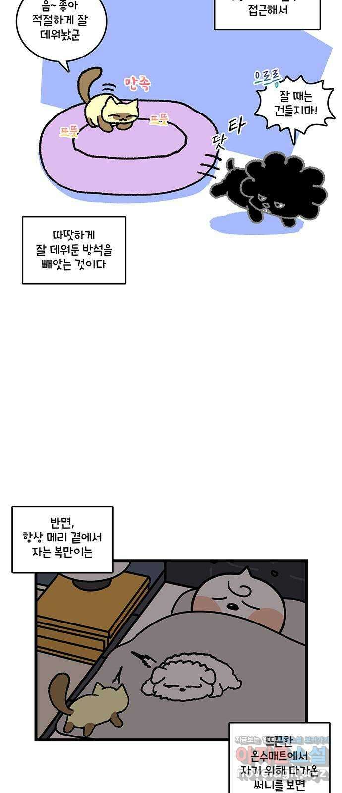 윌유메리미 시즌2 789화 으르릉 6
