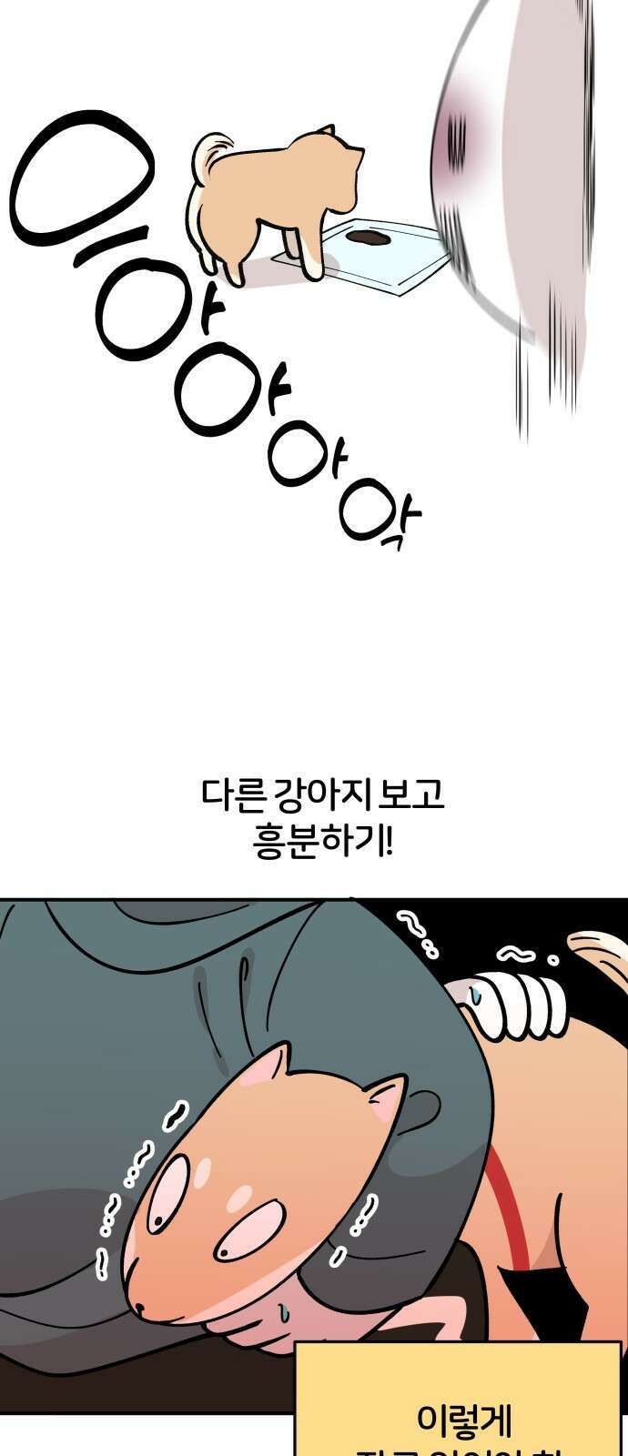 시바, 만만치 않다 1화 8