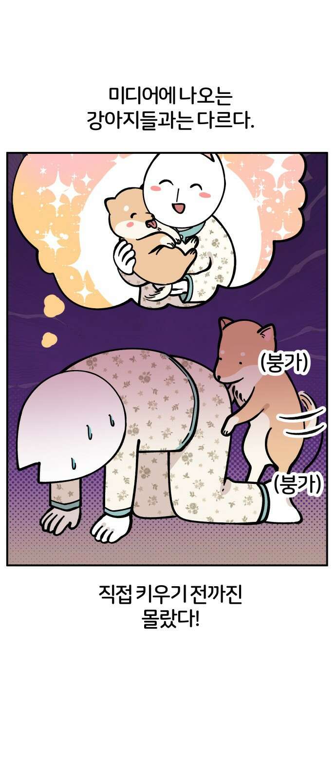 시바, 만만치 않다 1화 10