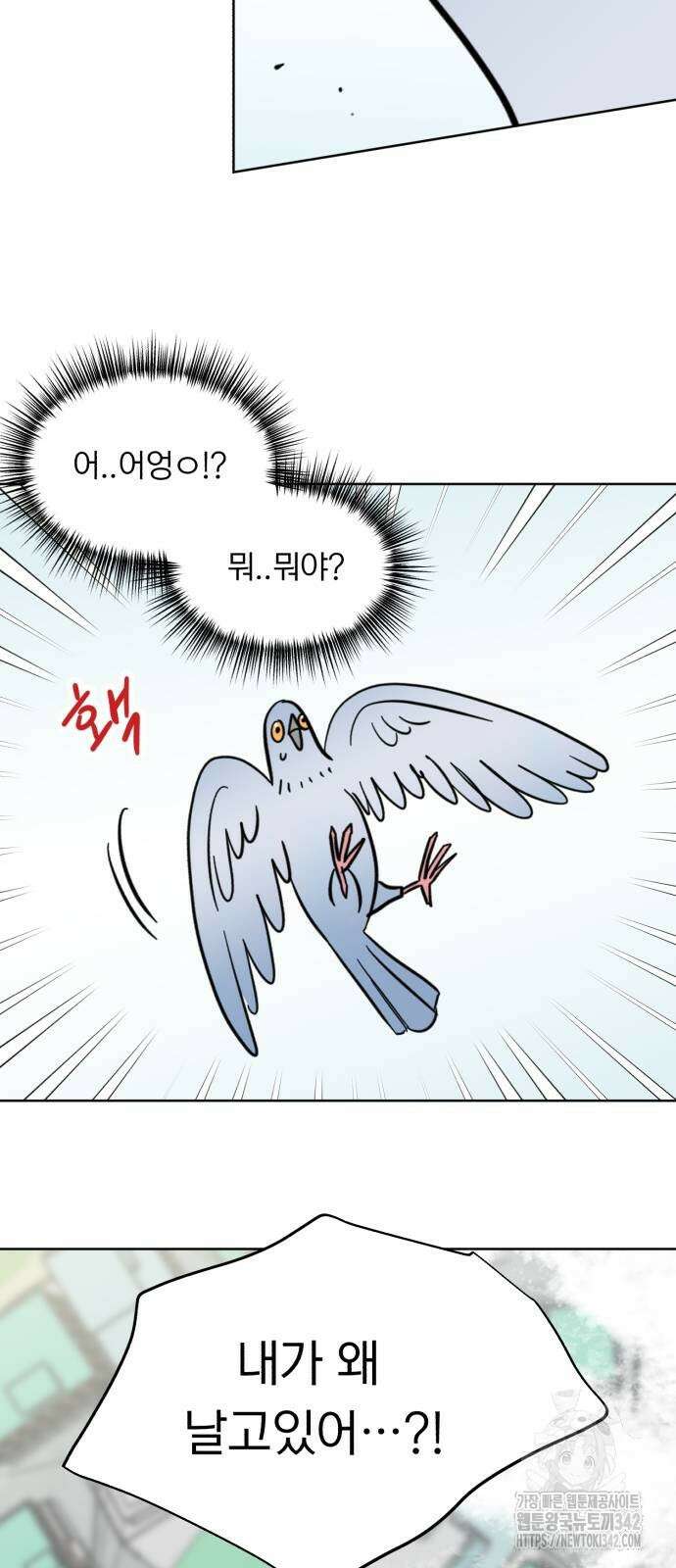 성북구 비둘기 이헌서 9화 6