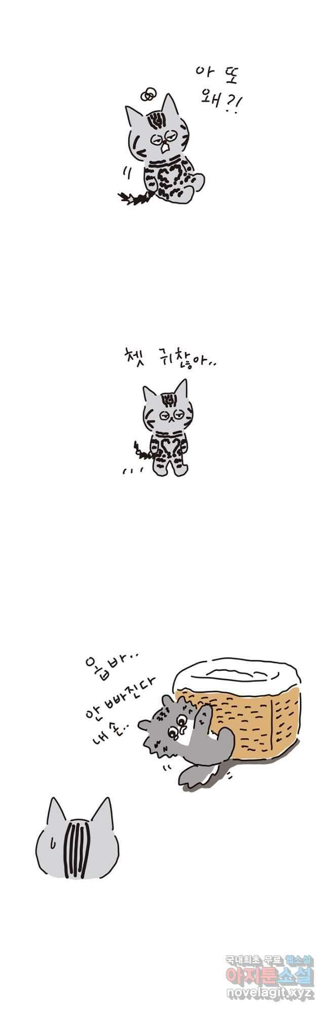은동은동+옹동스 은동은동 은동구리 127화. 나옹이가 해결했어 2