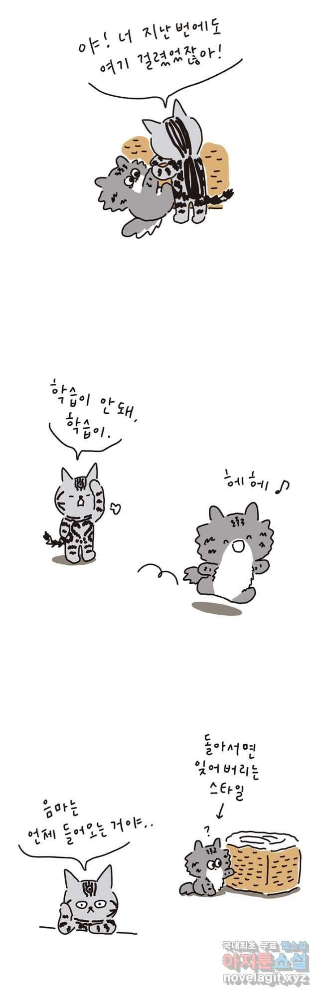 은동은동+옹동스 은동은동 은동구리 127화. 나옹이가 해결했어 3