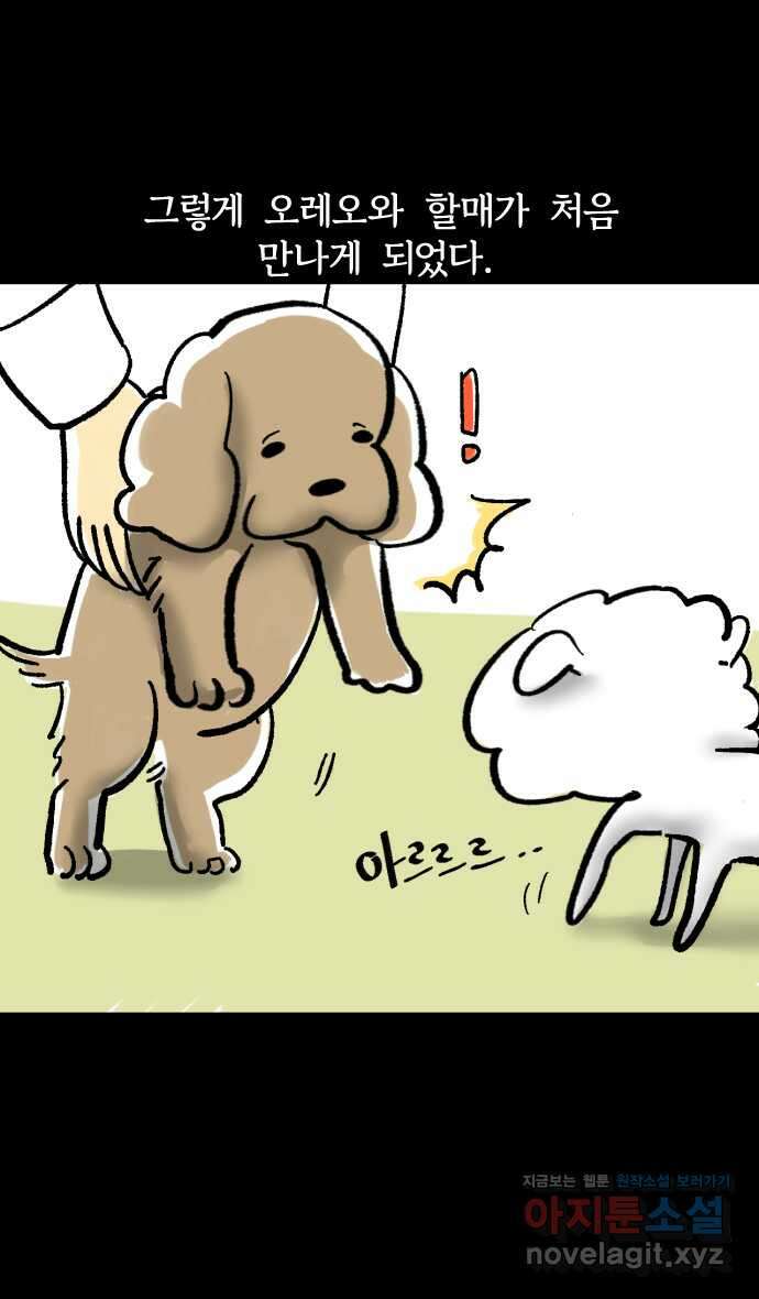 개집사 4화 첫사랑은 못 잊지… 7