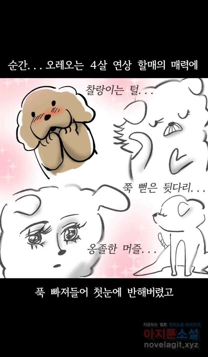 개집사 4화 첫사랑은 못 잊지… 8