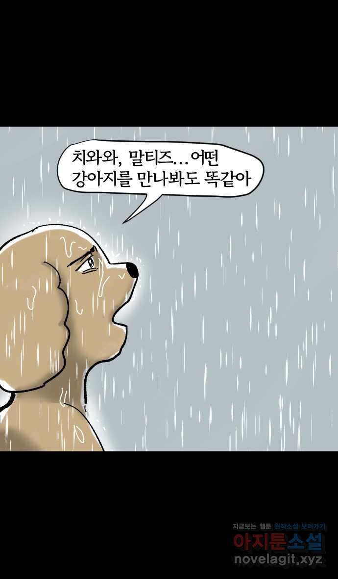 개집사 4화 첫사랑은 못 잊지… 20