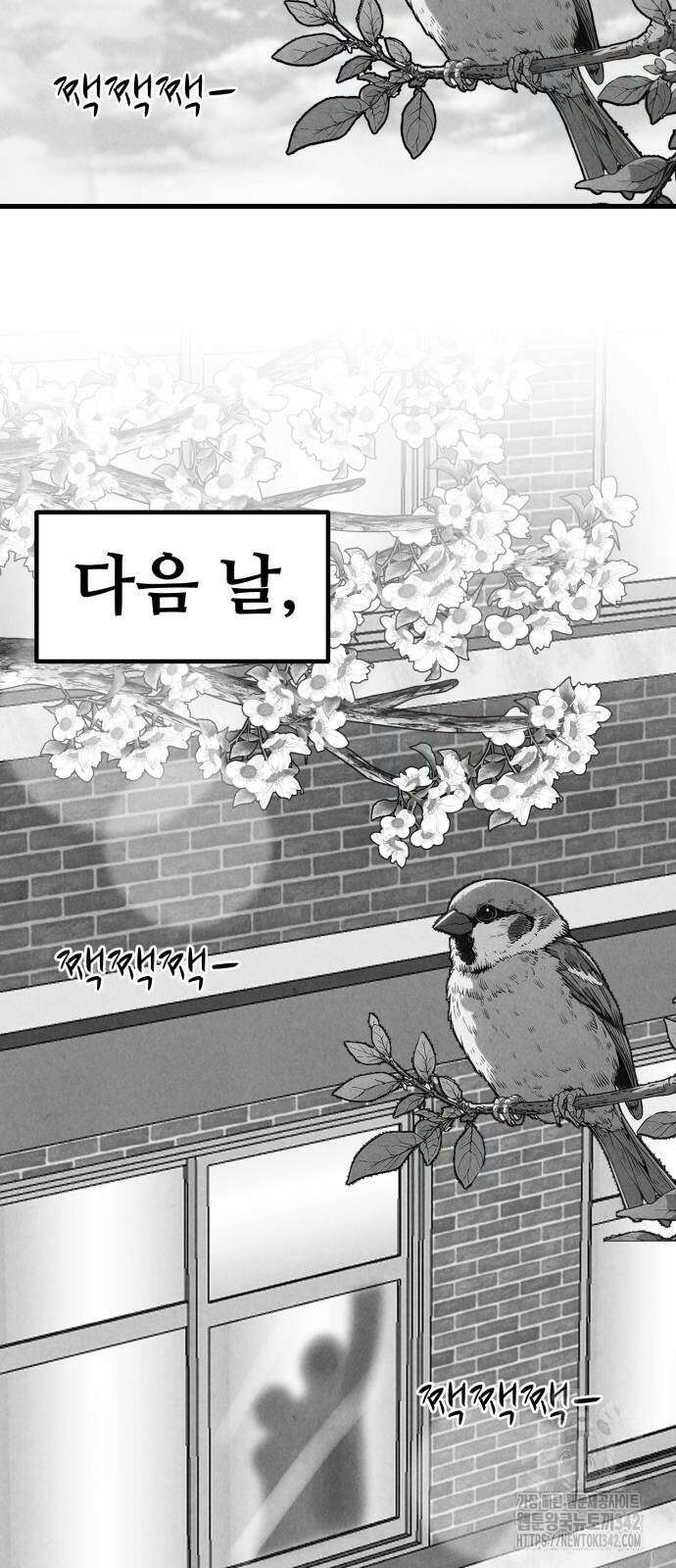 강한 누나 18화 13