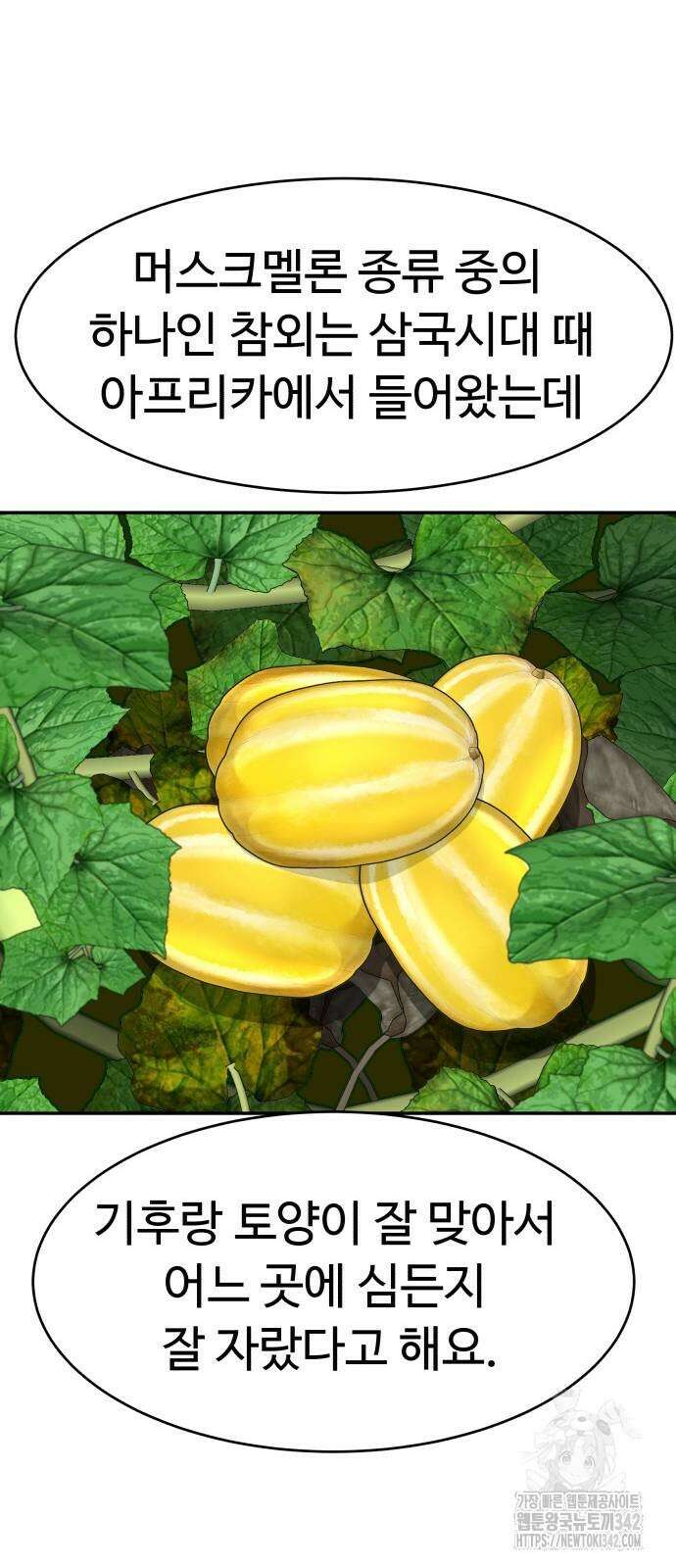 별난식당 79화 53