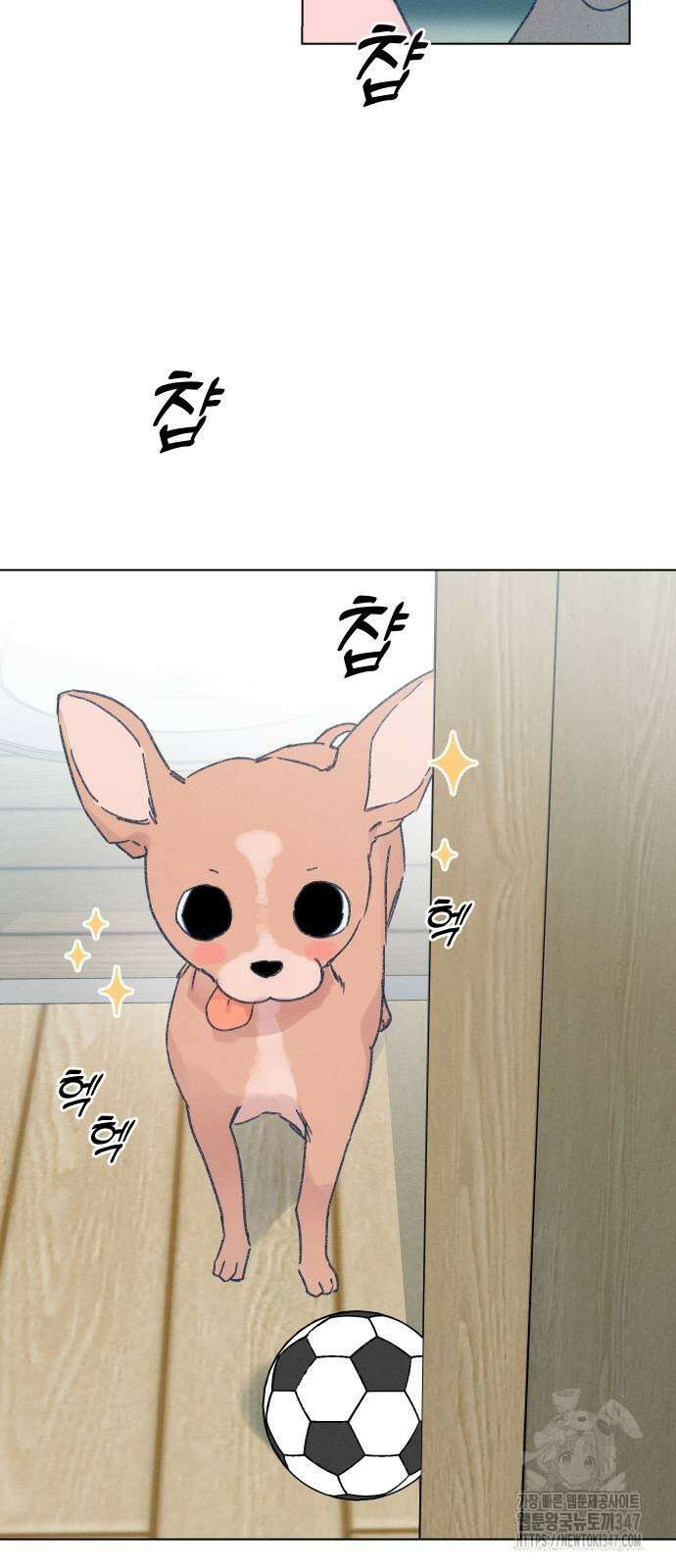사랑하는 여름 하늘 10화 43