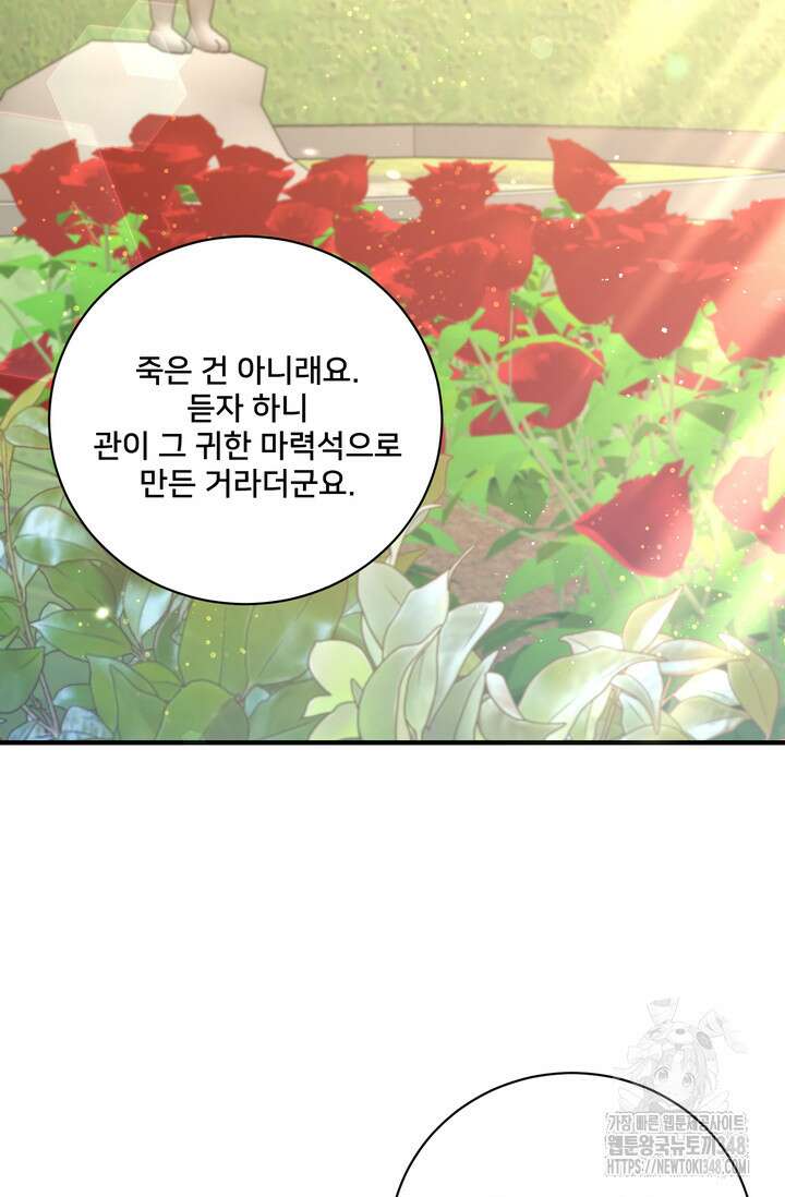S급 아기 황녀님이 너무 강해 32화 28