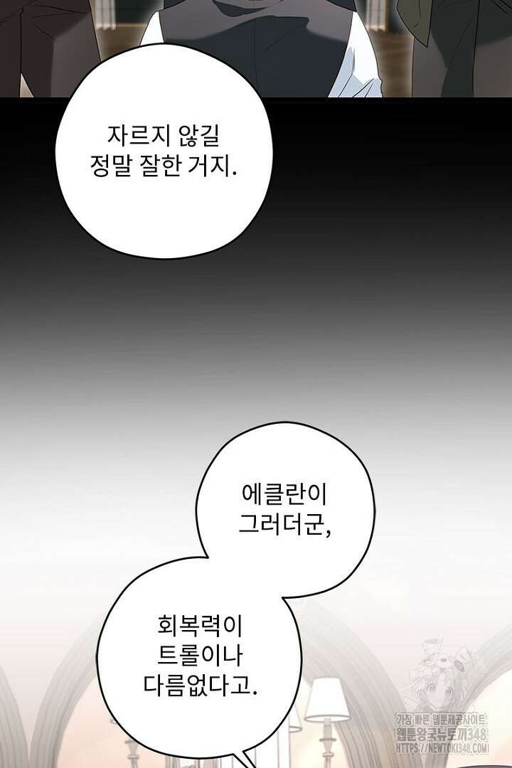 흑막 공작이 계약 결혼을 제안했다 47화 25