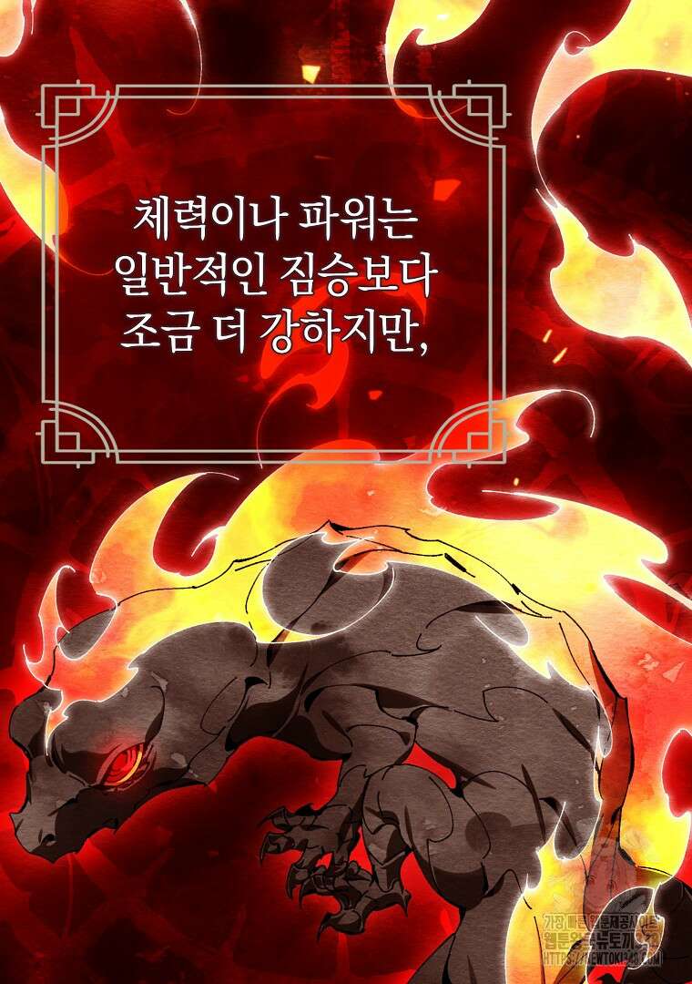 마법학교 앞점멸 천재가 되었다 31화 24