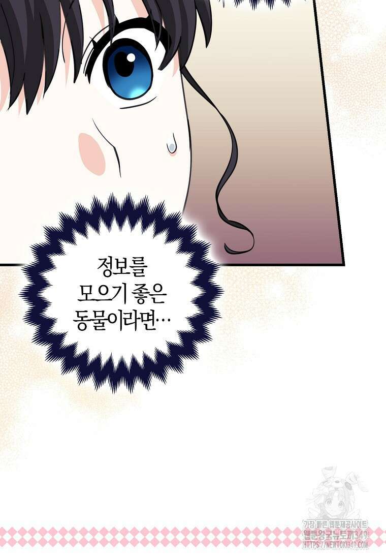 미친 범고래의 애착 펭귄 22화 19