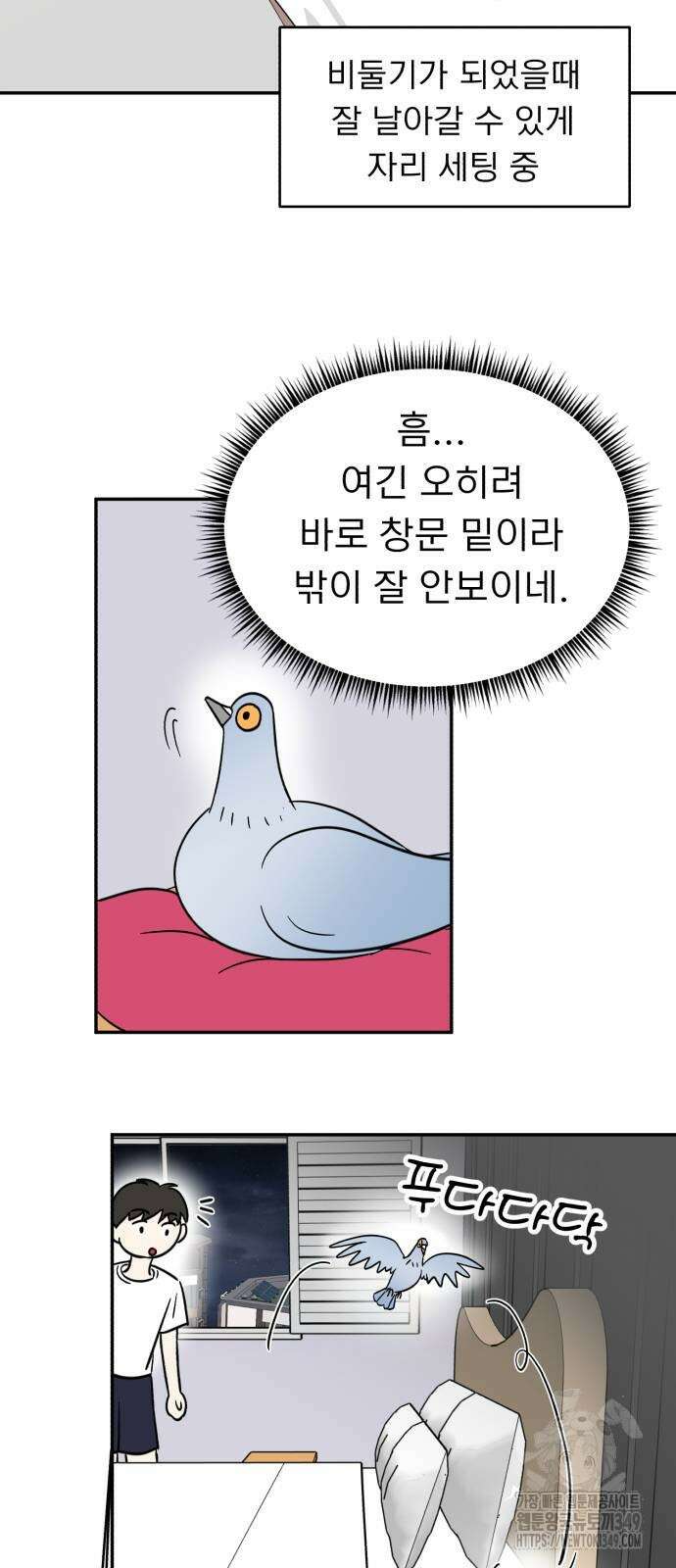 성북구 비둘기 이헌서 16화 8