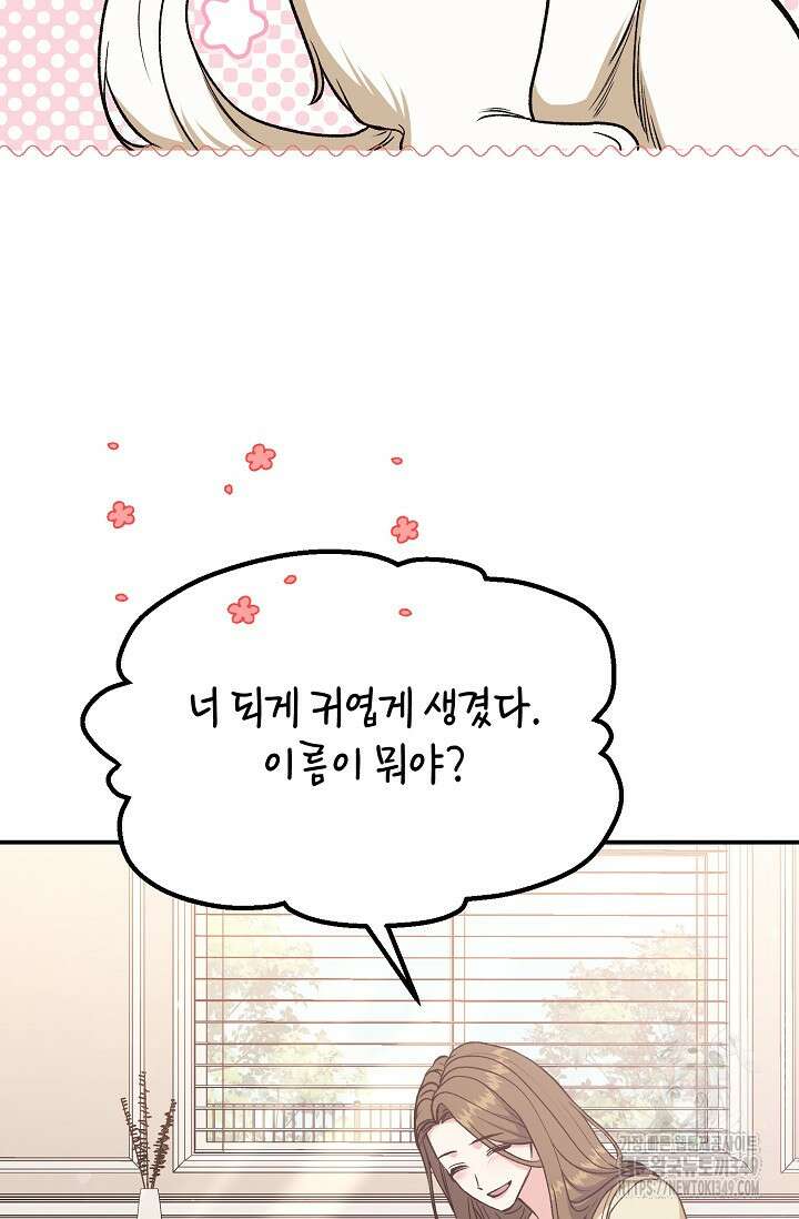 정략결혼의 조건 35화 2
