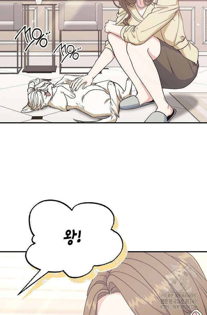 정략결혼의 조건 35화 3