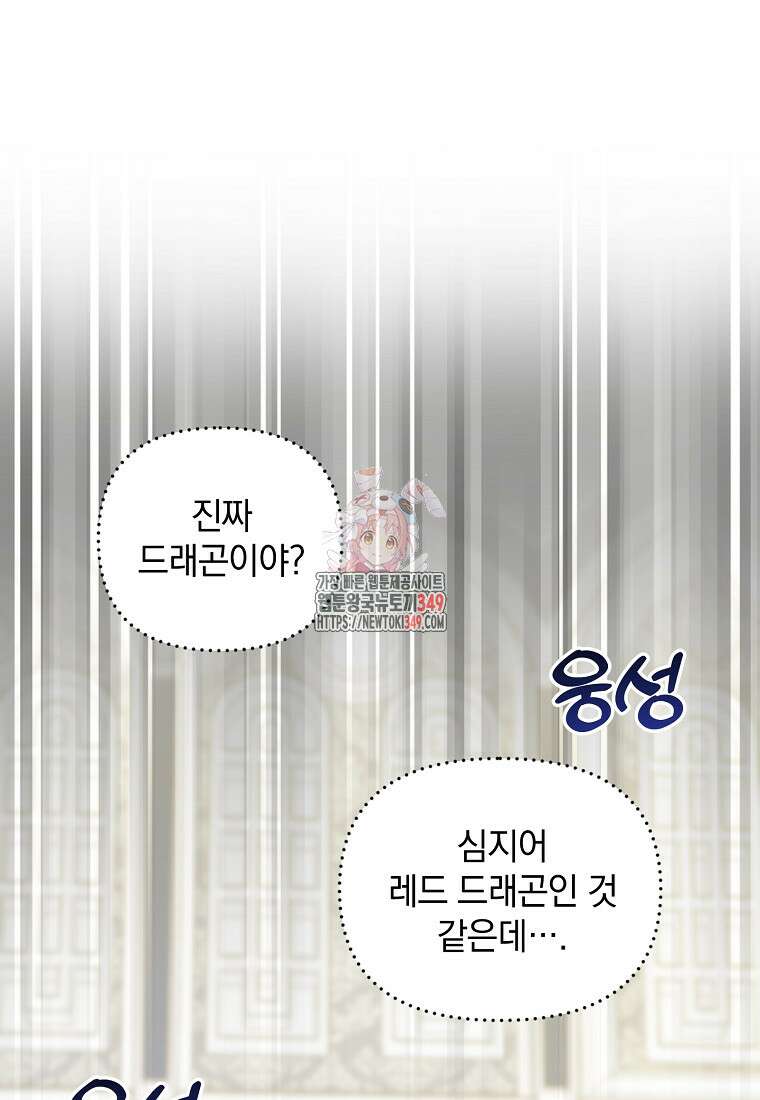 아카데미의 천재 테이머 8화 1