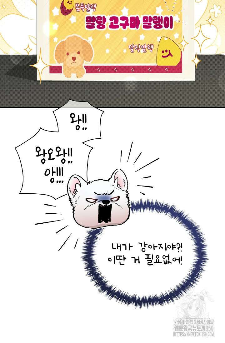 강아지는 건드리지 마라 2화 7