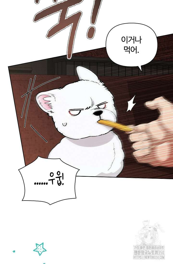 강아지는 건드리지 마라 2화 9