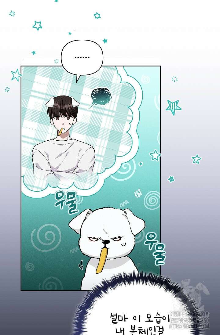 강아지는 건드리지 마라 2화 10