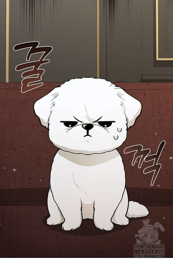 강아지는 건드리지 마라 2화 15