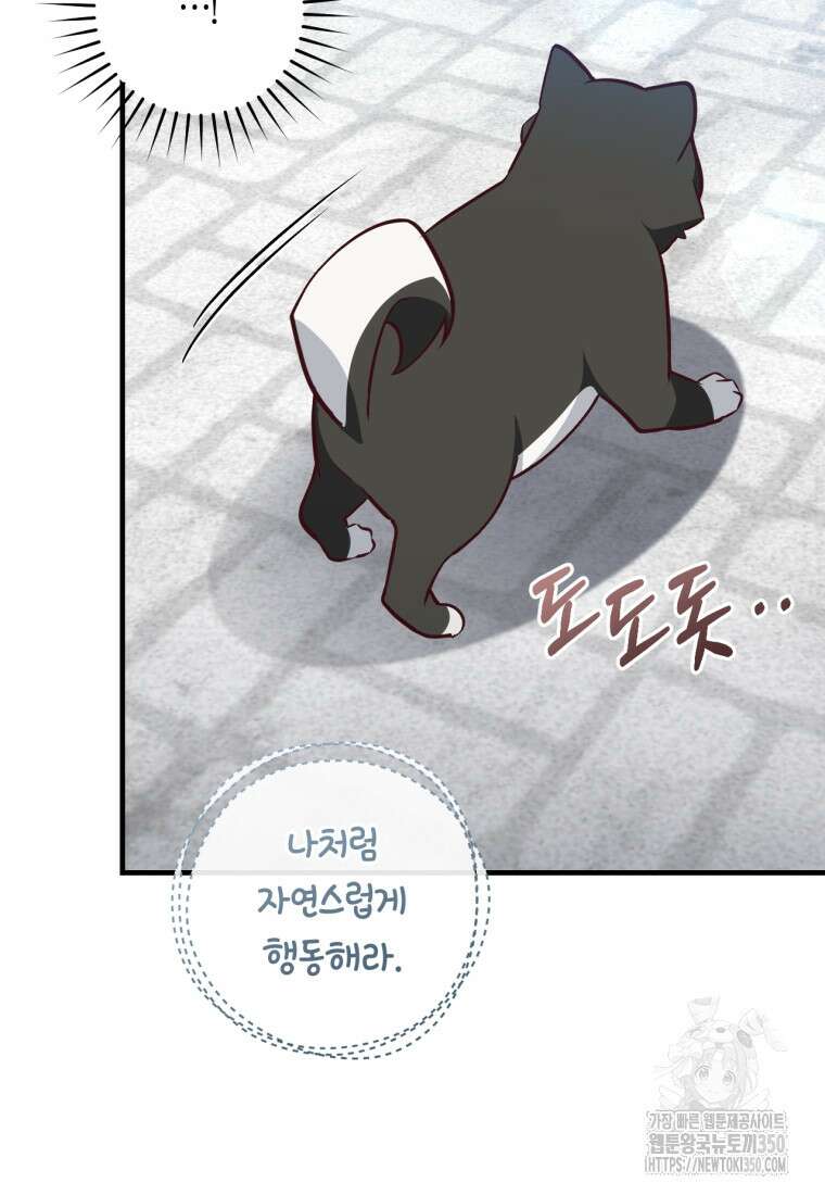 오늘부터 공작가는 내가 접수한다 62화 10