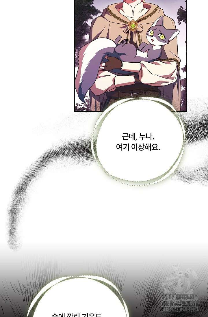파혼한 영애는 엔딩 외엔 집착하지 않는다 43화  파혼한 영애는 엔딩 외엔 집착하지 않는다 43화 9