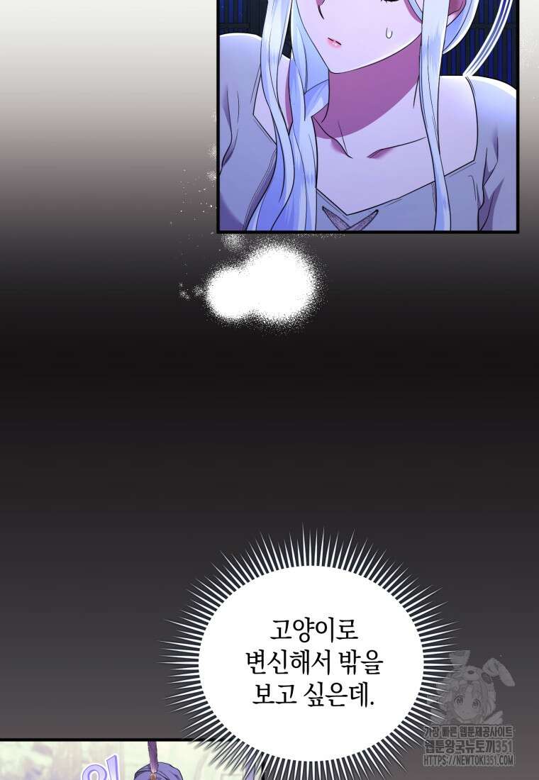 술탄의 귀한 고양이가 되었습니다 70화 17