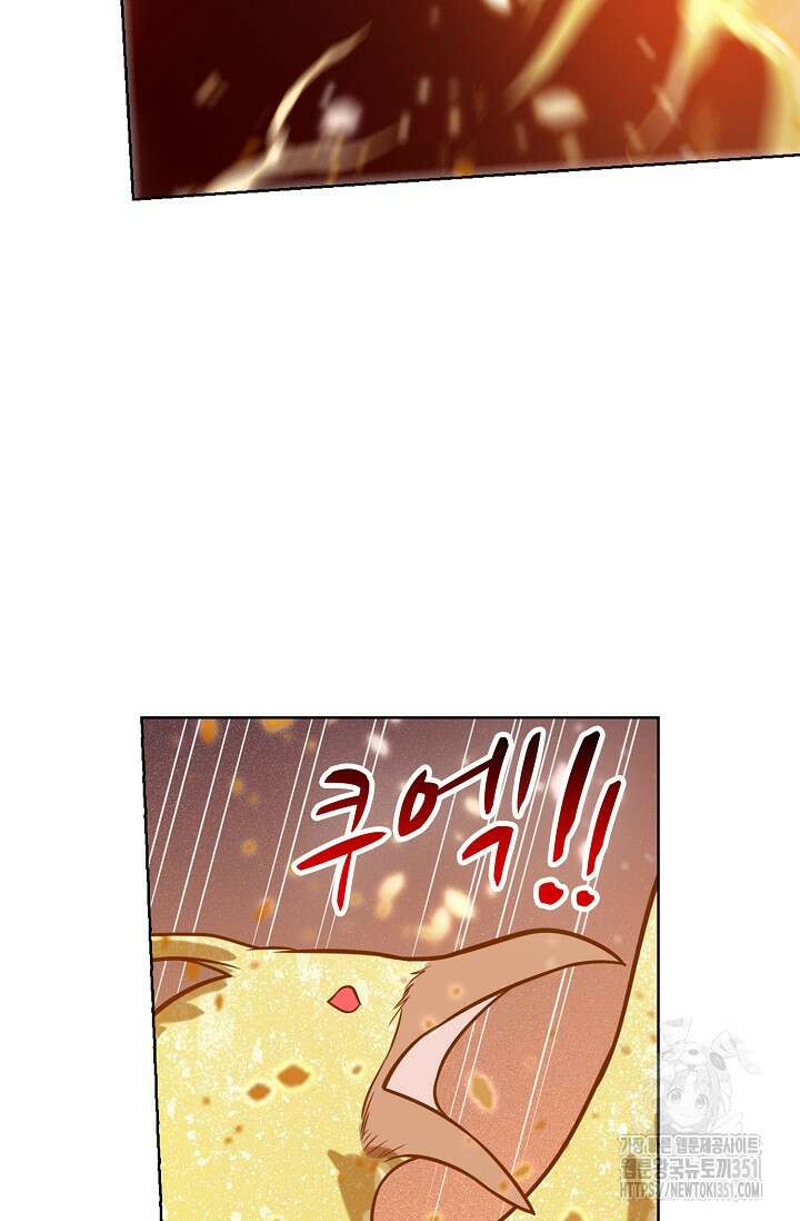 백련성신 1235화 66