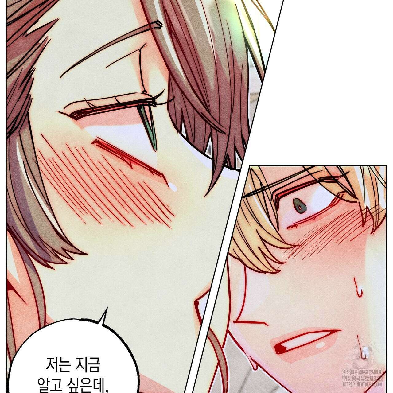 남주들의 첫날밤을 수집합니다 20화 32