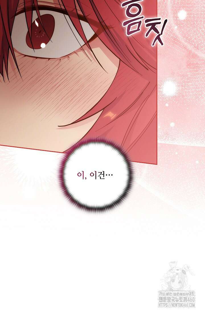 아도니스 262화 12