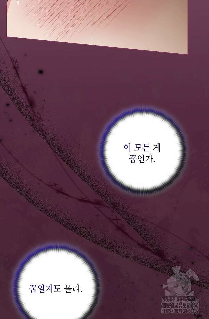 아도니스 262화 16