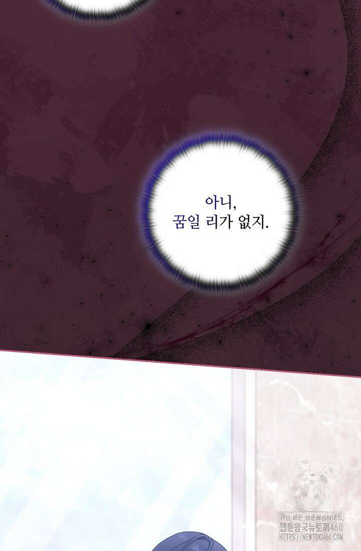 아도니스 262화 17