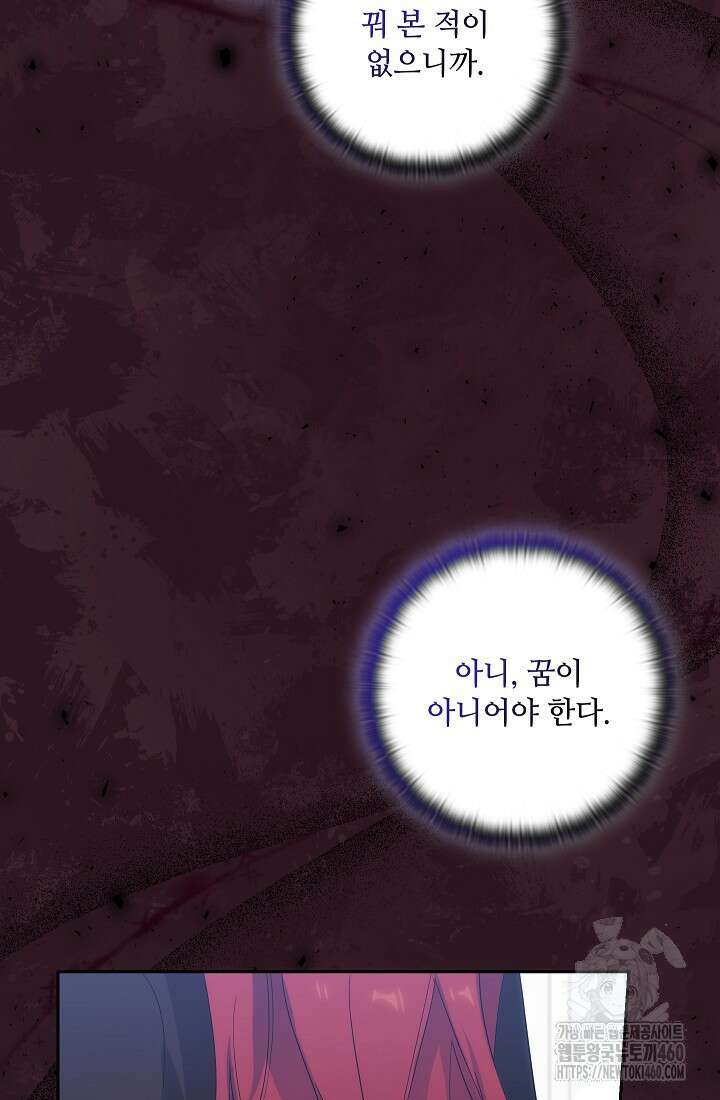 아도니스 262화 19