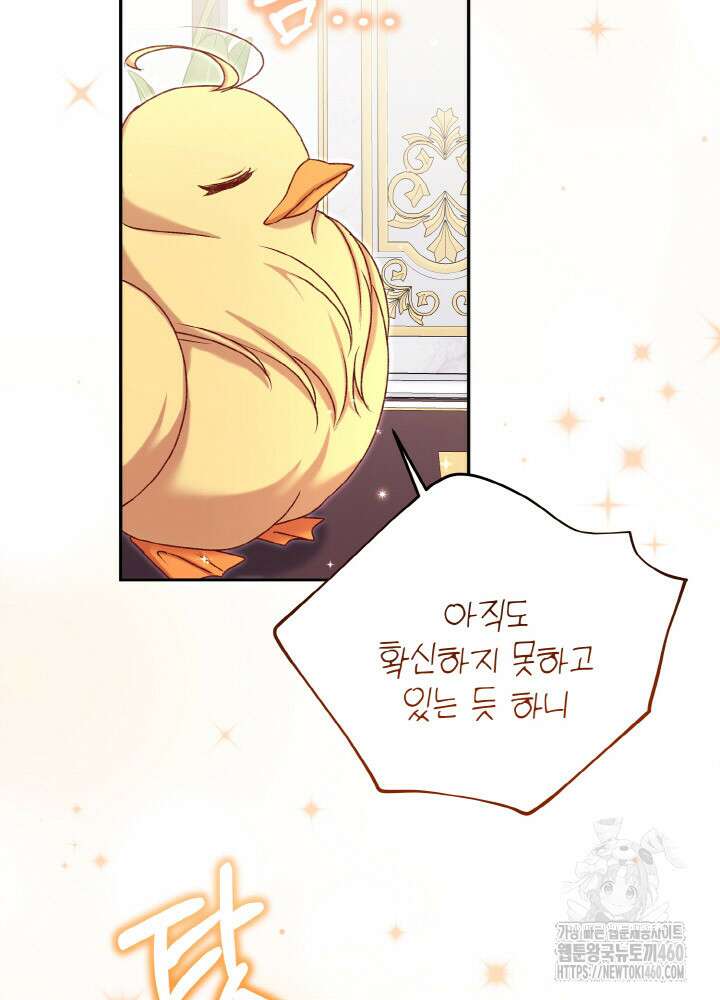 조연 오리는 파혼만을 기다립니다 22화 12