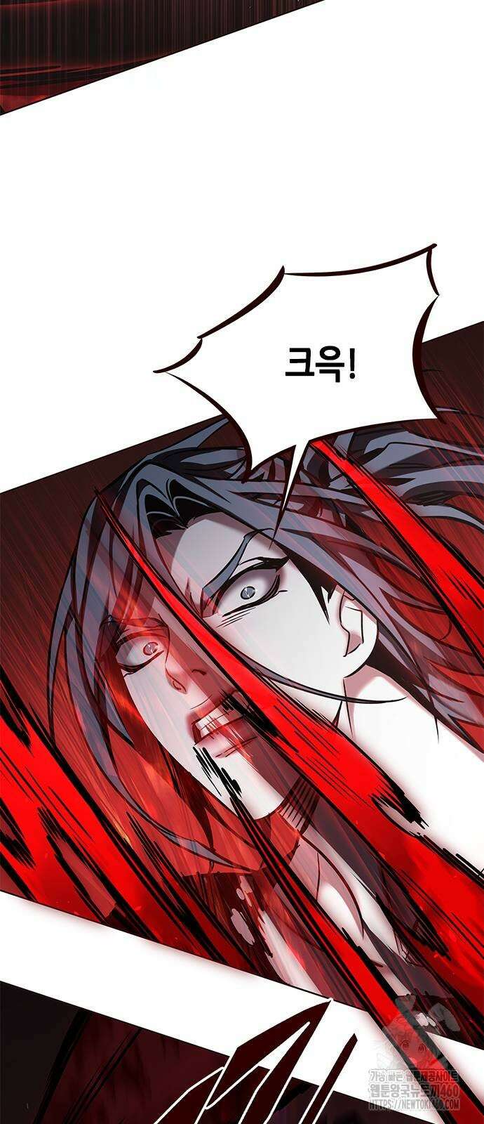 일렉시드 315화 29